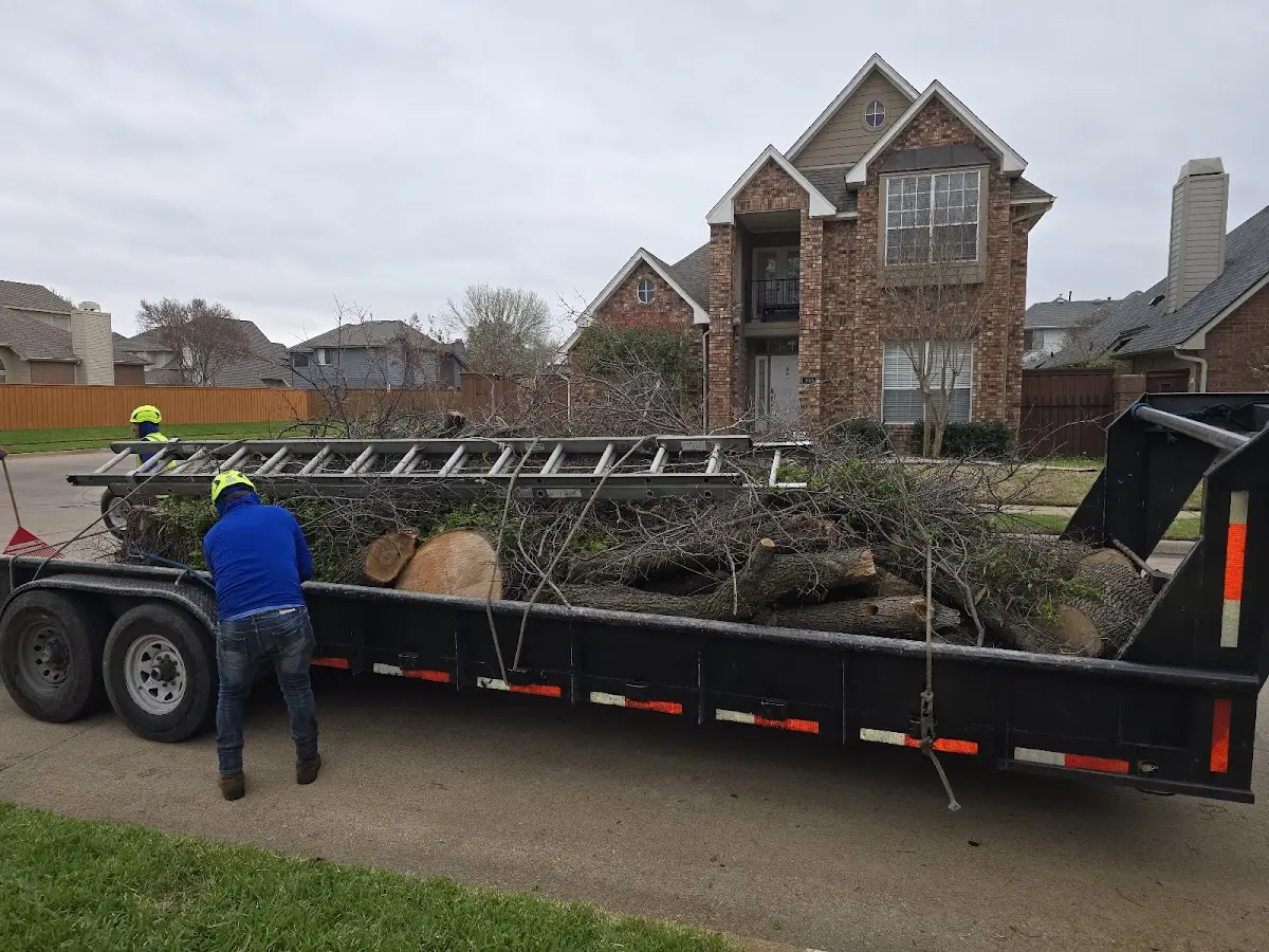 Expert Lot Clearing with proper safety equipment in Tuscarora